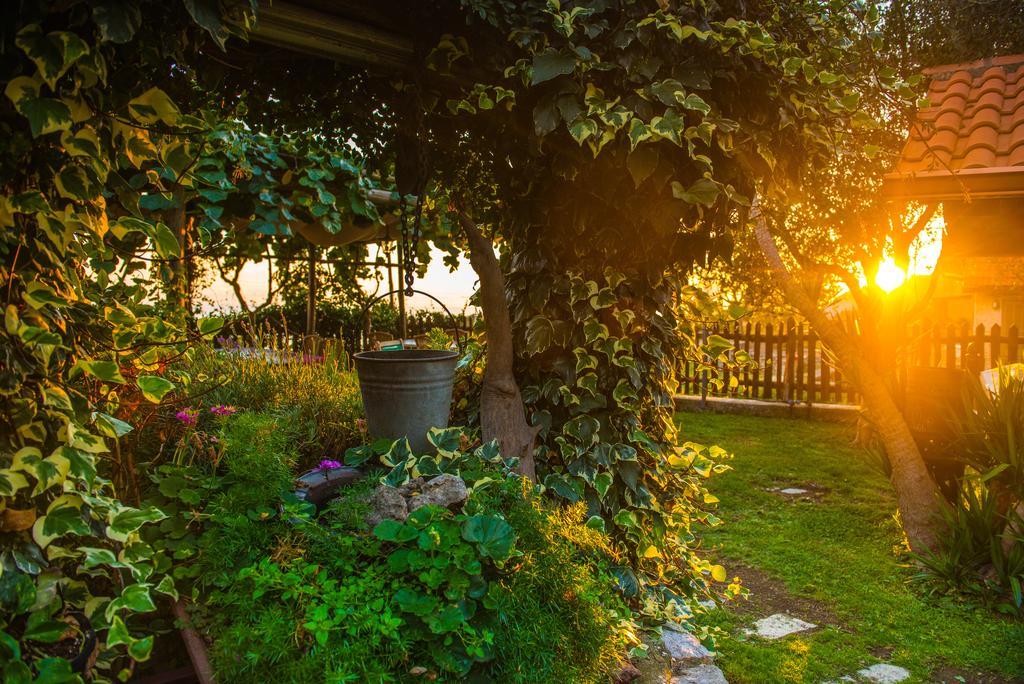 Agriturismo Mare E Monti アジェーロラ エクステリア 写真