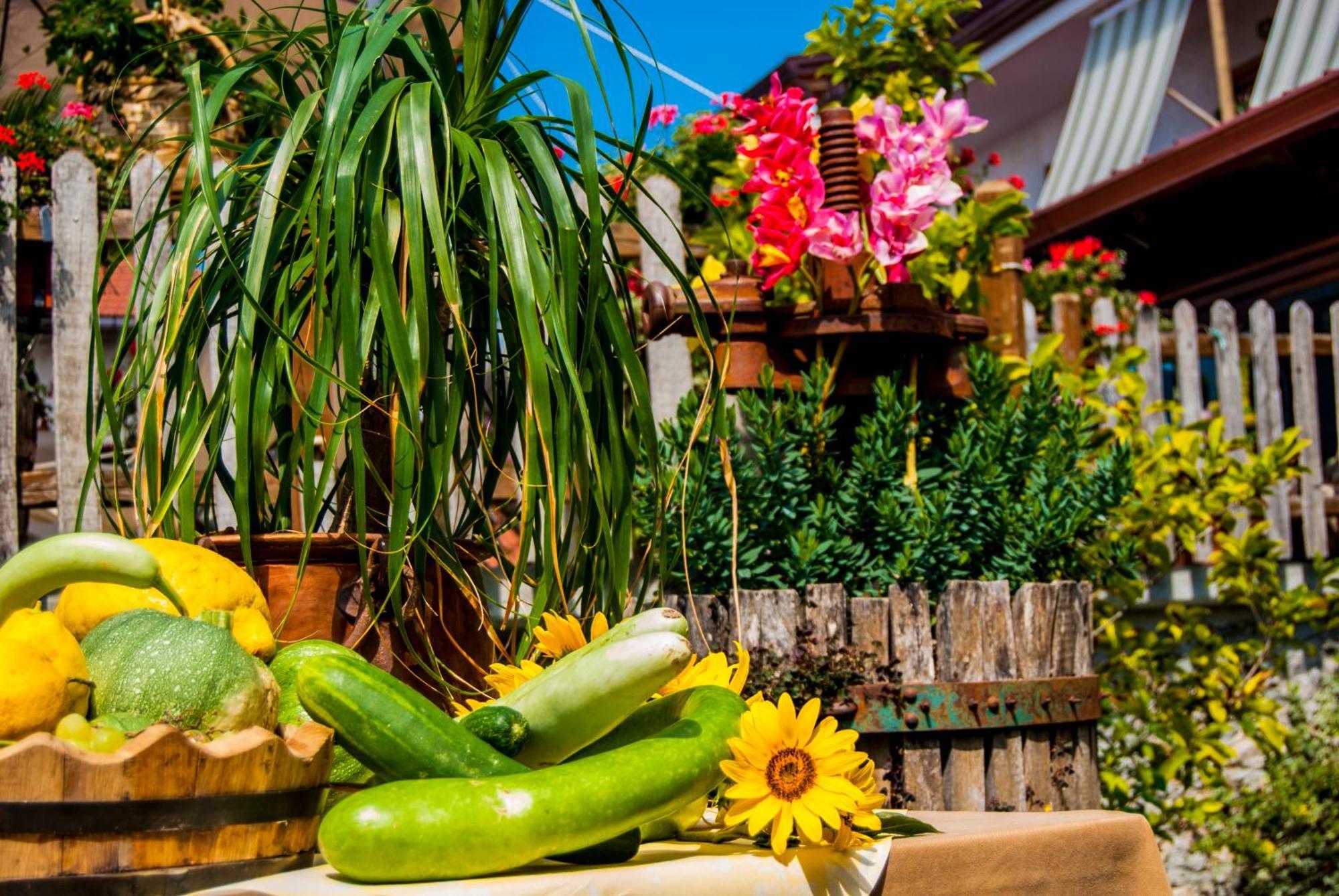 Agriturismo Mare E Monti アジェーロラ エクステリア 写真