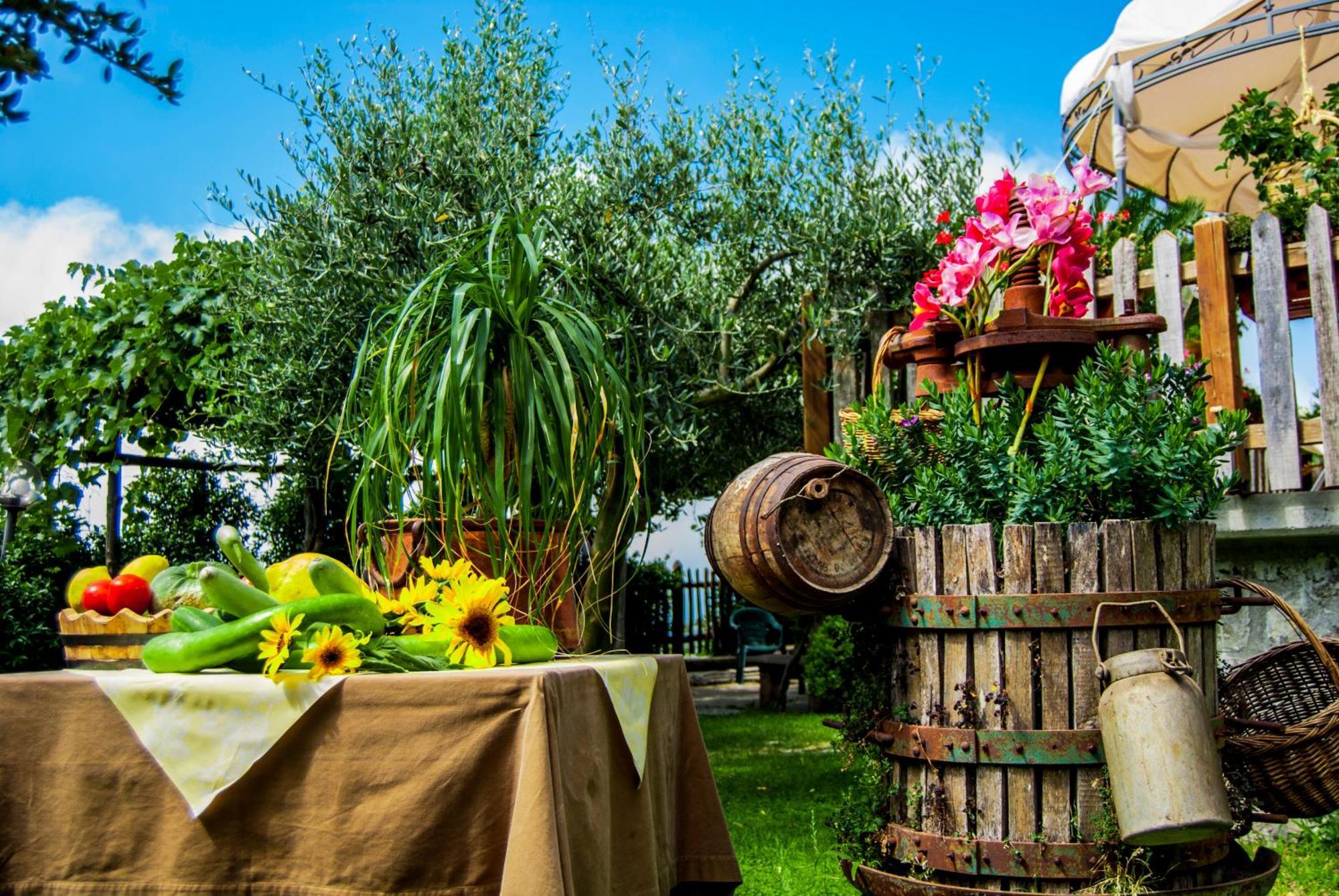Agriturismo Mare E Monti アジェーロラ エクステリア 写真