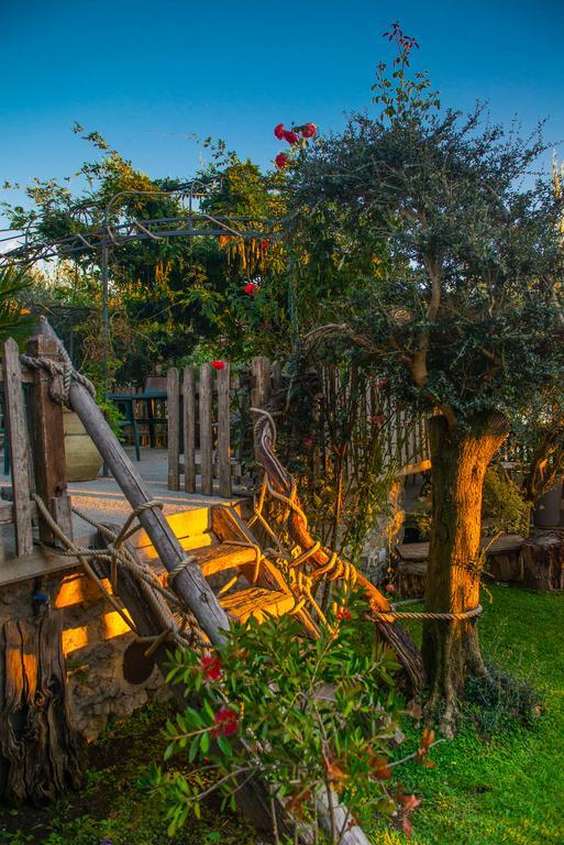 Agriturismo Mare E Monti アジェーロラ エクステリア 写真