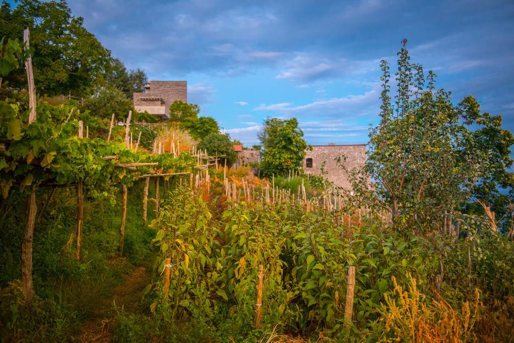 Agriturismo Mare E Monti アジェーロラ エクステリア 写真