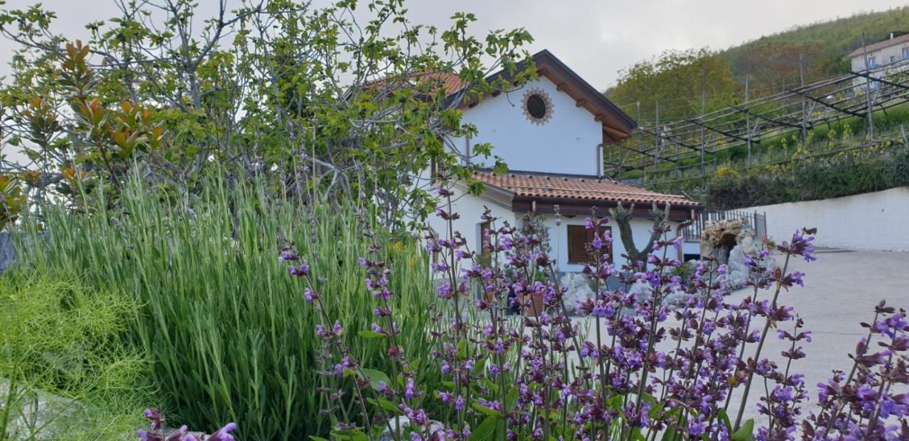 Agriturismo Mare E Monti アジェーロラ エクステリア 写真