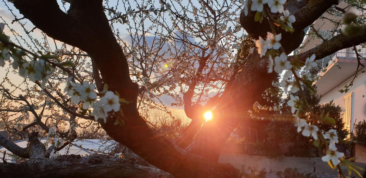 Agriturismo Mare E Monti アジェーロラ エクステリア 写真